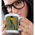 thumbnail image 2 of 3drose, Audubons Oriole Bird in Habitat, Texas, Usa - Us44 Ldi0732 - Larry Ditto, 11oz Mug, 2 of 6