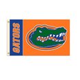 thumbnail image 1 of QIFEIHA Florida Gators Flag 3x5 Feet Banner Flag, 1 of 3