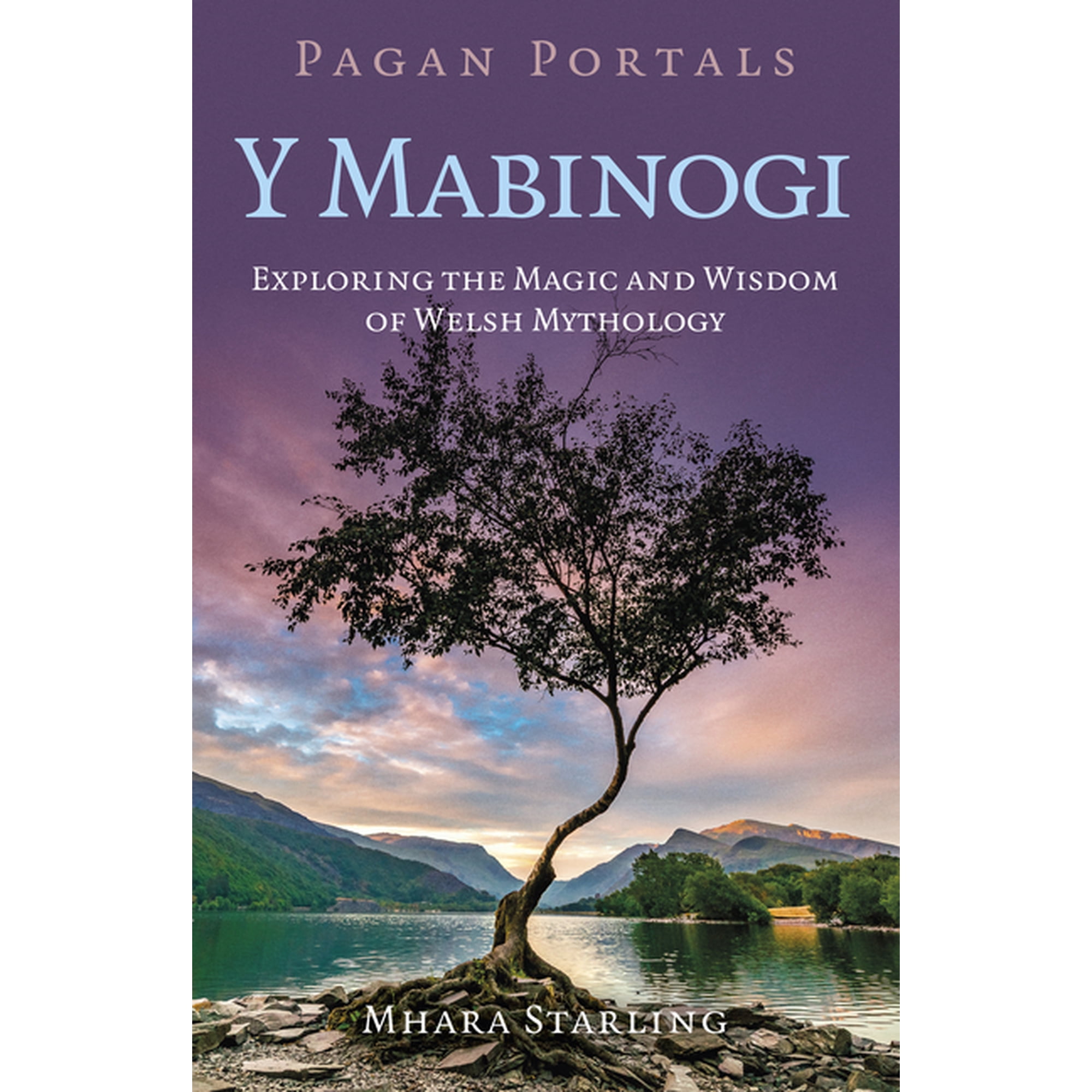 Pagan Portals: Y Mabinogi: Exploring the Magic and Wisdom of Welsh Mythology (Paperback)