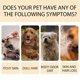 thumbnail image 3 of Pet Shampoo - Dog Shampoo and Coat Wash for Hydrating, Cleansing and Adding Shine - Pet Supplies - 300ml, 3 of 5