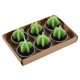 thumbnail image 1 of 6 unids/set plantas verdes artificiales cactus vela ornamento cumpleaños Festival Fiesta 3 # forma de la hoja, 1 of 5