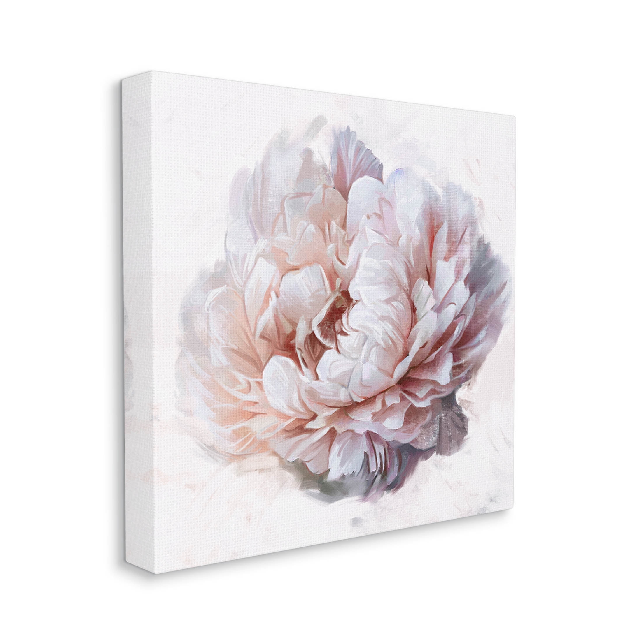 Stupell Industries Detailed Peony Petals Graphic Art Gallery Wrapped Canvas Print Wall Art, Design by Ziwei Li