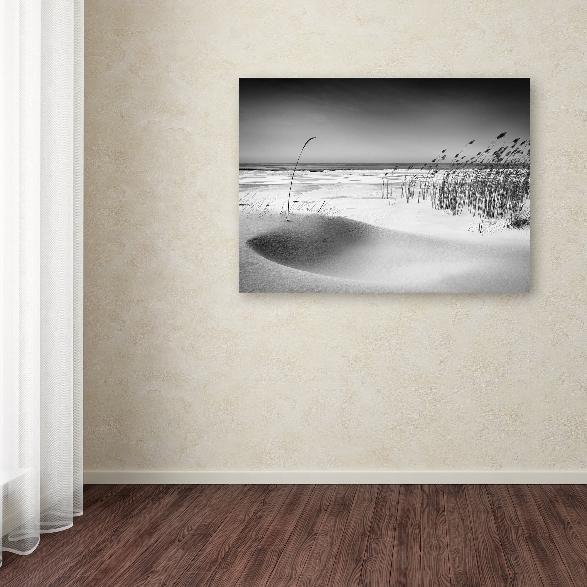 Trademark Fine Art 'Orchestra' Canvas Art by Reinis Cirulis
