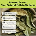 thumbnail image 6 of Akshit Dried Soursop Leaves, 200+ Whole  Soursop Graviola Leaves, Hojas De Guanabana, Non-GMO, 6 of 11