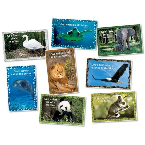 North Star Teacher Resource NST3105BN God Our Creator Poster Bulletin Board Set - Set of 2