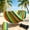 Coastal Breeze, variant on DEA Boho Macrame Single Hammock with Hanging Ropes & Elegant Tassels, 78.8x39.4 Portable Cotton Hammock for Patio Backyard Porch, 300LBS Weight Capacity Perfect for Outdoor/Indoor - Beige Color