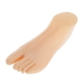 thumbnail image 1 of Maniquí de Calcetines Zapato Modelo Zapatillas Accesorios de s de Coser Pedestal Sunnimix Maniquí de pies masculinos, 1 of 8