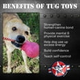 thumbnail image 4 of USA-K9 Skull Durable Rubber Chew Toy, Treat Dispenser, Reward Toy, Tug Toy, and Retrieving Toy, 4 of 6