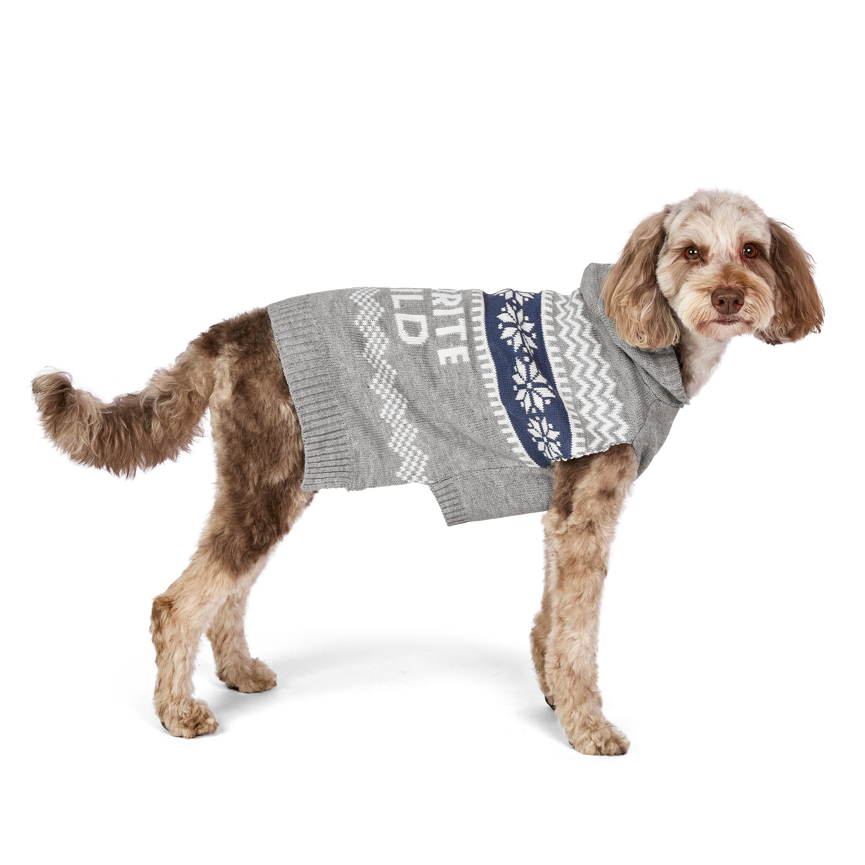 Vibrant Life Holiday Hooded Pet Sweater for Dogs, Favorite Child, Gray, Medium