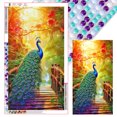 thumbnail image 1 of 5D DIY Con Taladro Kit Pavo Real Y Del 40x70cm, 1 of 9