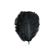 thumbnail image 6 of Efavormart 12 Pack | 13"-15" Black Natural Plume Real Ostrich Feathers, DIY Centerpiece Fillers, 6 of 10