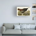 thumbnail image 3 of John James Audubon 'Great Hen and Young' Canvas Art, 3 of 3