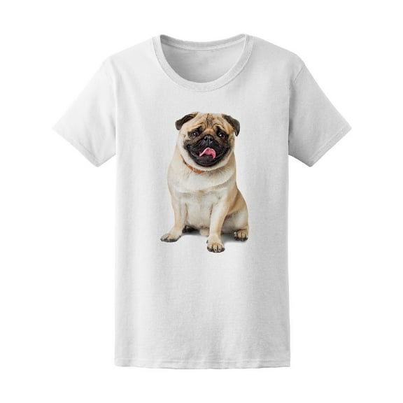 Cute Dog Pug Fat T-Shirt Men -Image by Shutterstock, Male 3X-Large