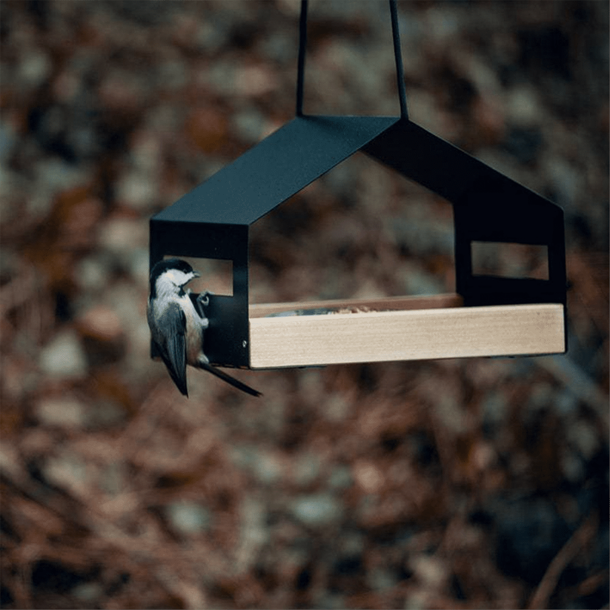 Hanging Bird Feeder House Outdoor Bird Feeder Hanging Nut Feeding Food Dispenser Holder