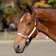 thumbnail image 4 of Equinavia Loki Adustable Breakaway Horse Halter, 4 of 5