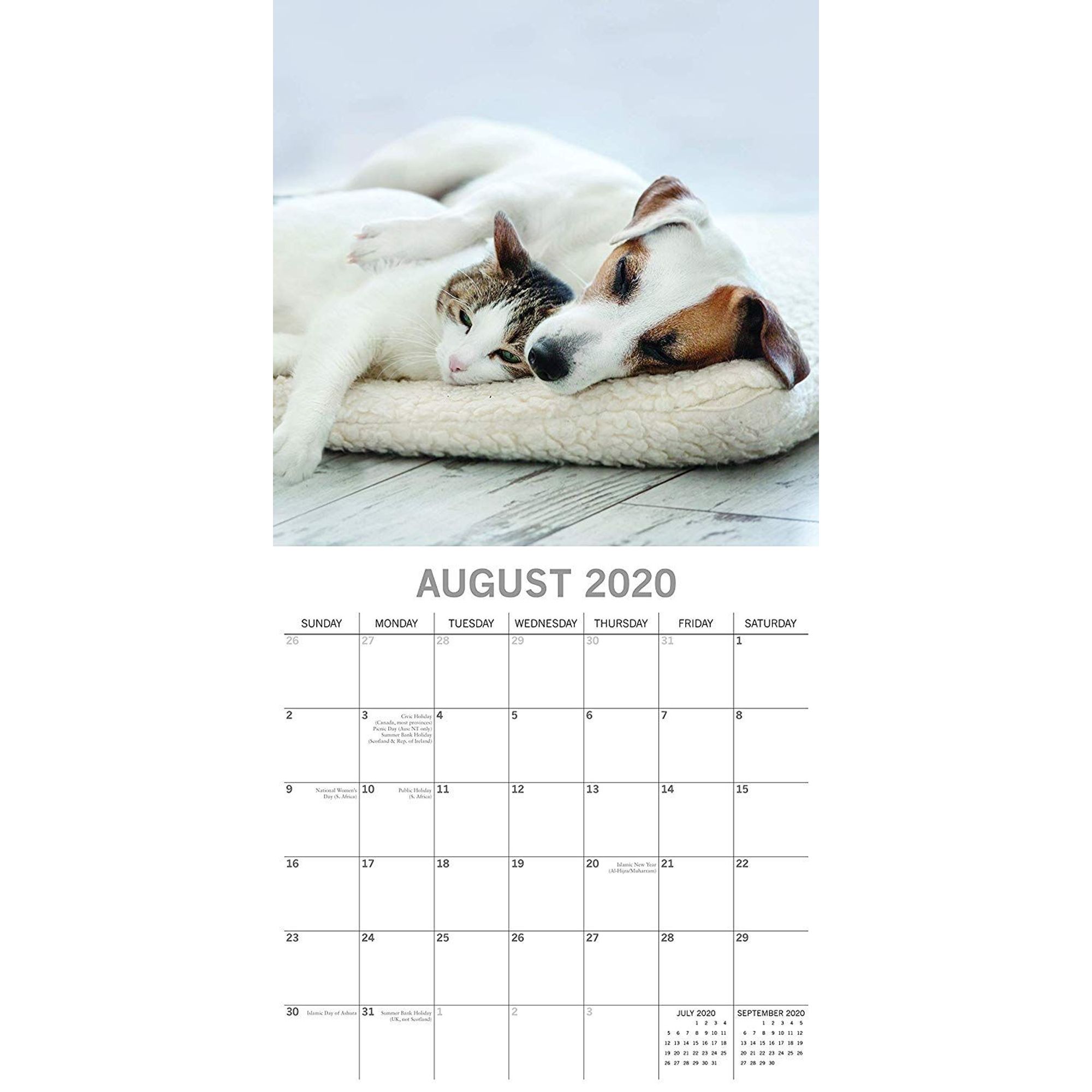 2020 Wall Calendar 12" 16Month, Pet and ls Cat and Dogs Theme w