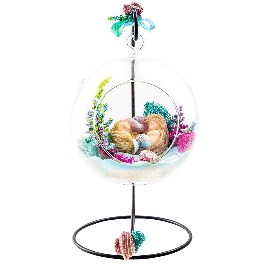 Terrarium Kit Mermaid Sisters Mermaid Series Complete Terrarium