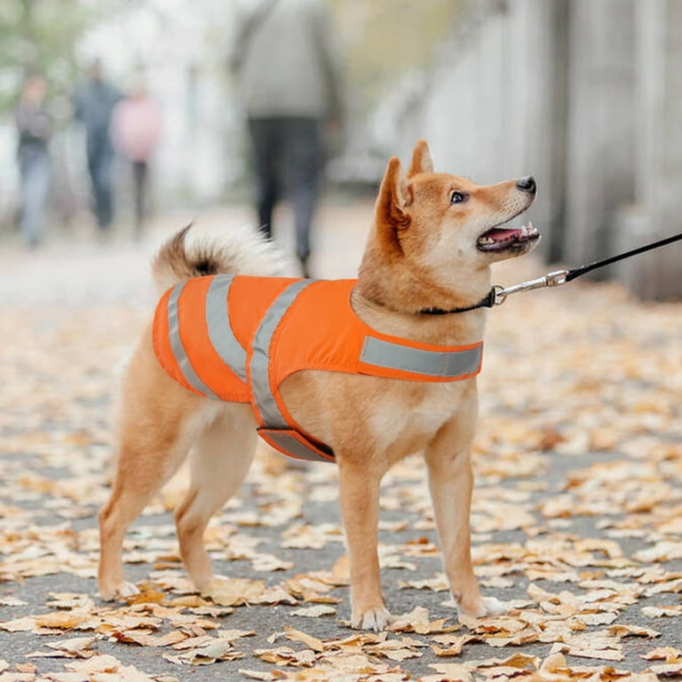 Safety Vest Dog Vest Jacket Classic High Visibility Waterproof Dog