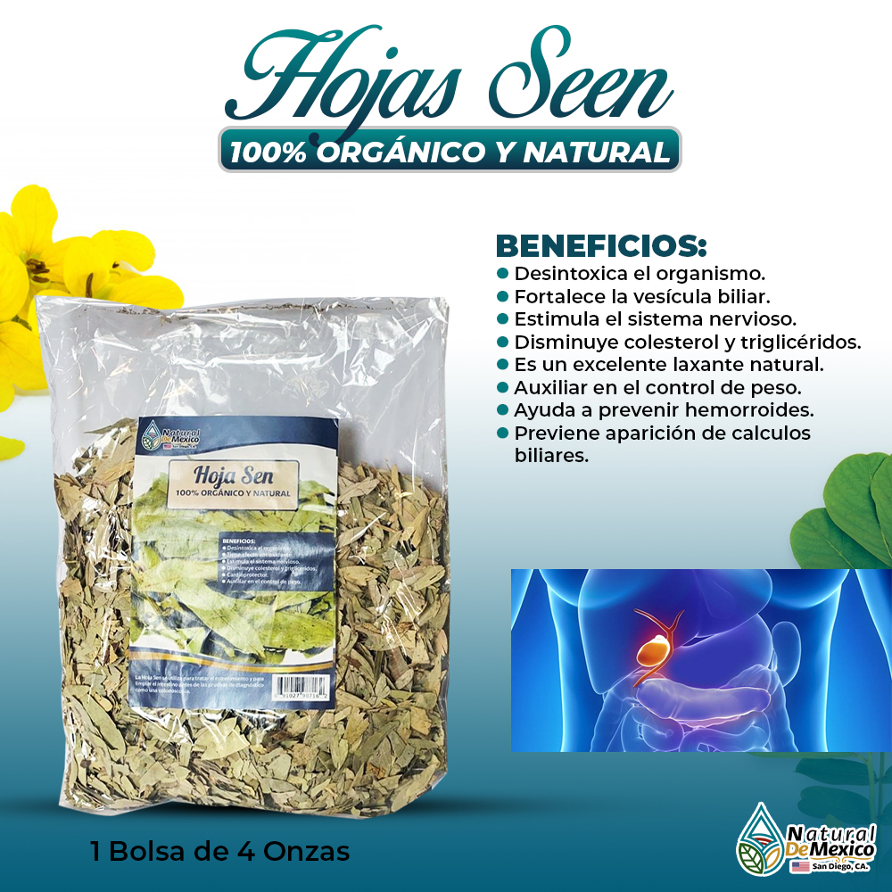 Arriba 105+ Foto Cuál Es La Hoja De Sen Lleno