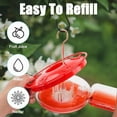thumbnail image 5 of FEED GARDEN 2 Pack 16 OZ Hummingbird Feeders for Outdoor 5 Feeder Ports Ant Bee Proof Leak-Proof Cleaning Brushes Nectar Easy Clean Fill Bird Feeder for Garden Red Décor Gifts for Mom, 5 of 10