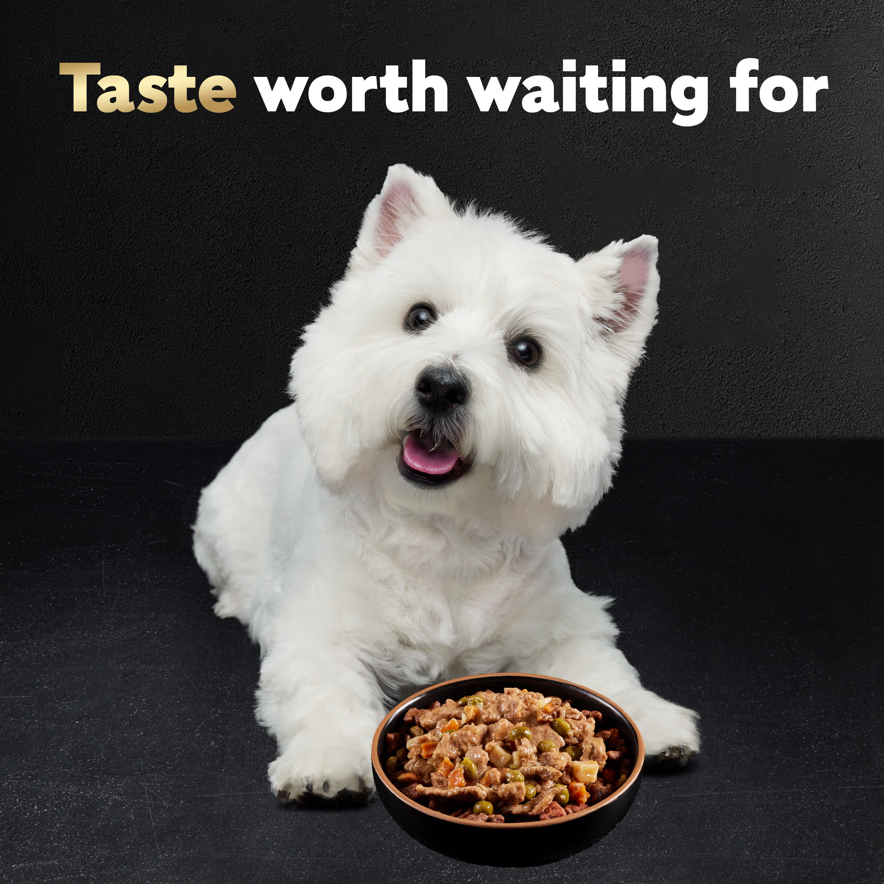 Cesar home delights wet dog food cheap
