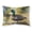 American Black Duck 3180, variant on Bufflehead Standard Pillowcase 30 in x 20.5 in