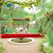 Black Friday deals Best Hummingbird Feeder With Hole Birds Feeding Red Pipe Easy to Use