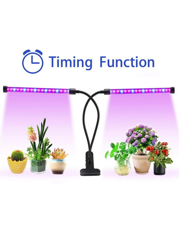 Grow Light Bulbs in Light Bulbs