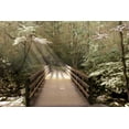 thumbnail image 2 of Nan 18x13 Black Ornate Wood Framed with Double Matting Museum Art Print Titled - Footbridge, 2 of 4