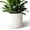 White 12 Inch, variant on Cylinder Pots 12/10/8 Inch Set of 3, Modern Round Planters with Drainage Holes and Saucers, Durable Plastic Flower Pots, White