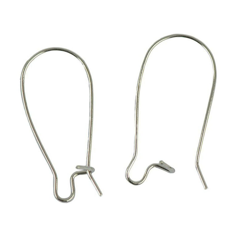 Earring Hooks, 24 12 Pairs, Hook Ear Wires, Fish Hook Earring Wires, French Hook  Earrings Silver SEE COUPON -  Canada