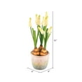 thumbnail image 2 of Vickerman 10" Artificial Yellow Hyacinths in Container, Pack of 2, 2 of 3