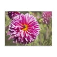 thumbnail image 2 of Gango Home Decor Garden Dahlias IV by George Johnson (Printed on Paper); One 24x18in Fine Art Paper Giclee Print, 2 of 4