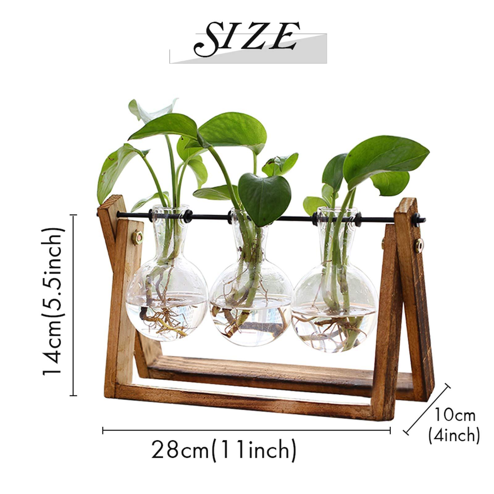 XXXFLOWER XXXFLOWER Plant Terrarium with Wooden Stand, Air Planter Bulb Glass Vase Metal Swivel Holder Retro Tabletop for Hydroponics Home Garden Office Decoration - 3 Bulb Vase - image 3 of 6