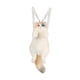 thumbnail image 2 of Mochila de peluche de gato para niños y adolescentes, regalo ideal para los amantes de los gatos. Estilo B, 2 of 9