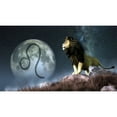 thumbnail image 2 of Leo is the fifth astrological sign of the Zodiac. Poster Print, 2 of 2