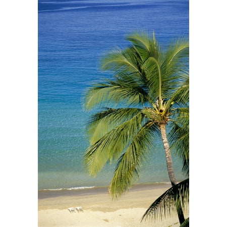 Tropical Beach With Palm Foreground Chair Distance Canvas Art Tropical Beach With Palm Foreground Chair Distance Canvas Art Dana Edmunds Design Pics