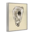 thumbnail image 3 of Stupell Industries Traditional Oyster Sea Creature Gray Framed Giclee Art, 16 x 20, by Michael Willett, 3 of 8