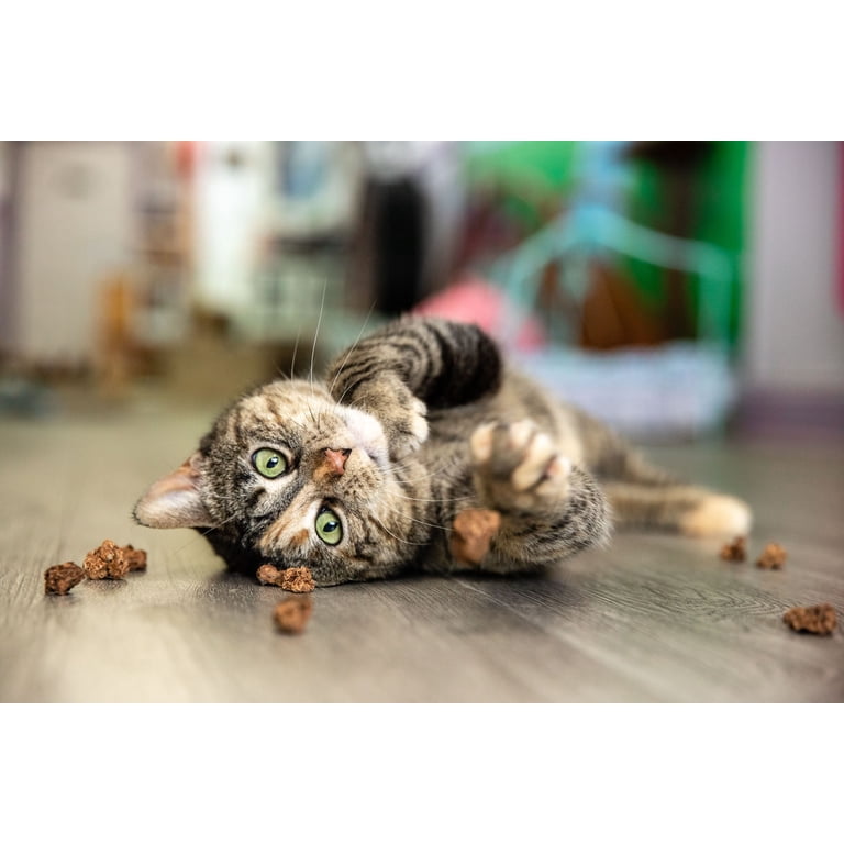 Petlando Silver Vine Kauwstaaf - Kattenkruid Speelgoed - 18.3x12.1x3.5 cm - Noorse Boskat - Pets Place