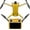 Gold, variant on Jesscasday Drone Protective PVC Stickers for Mini 3 Pro Aircraft & Remote Control Decals Cover Skin Sticker Drone Accessories