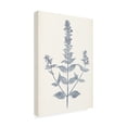 thumbnail image 2 of Vision Studio 'Navy Botanicals VII' Canvas Art, 2 of 3