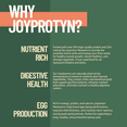 thumbnail image 4 of Joyprotyn 5LB Non-GMO Dried Mealworms - High Protein Natural Feed & Chicken Treats for Chickens, Ducks, Wild Birds, Quails & Reptiles - Support Egg Production & Feather Growth, 4 of 7