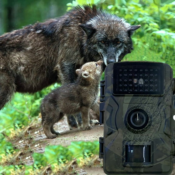 Outdoor Tracking and Monitoring Camera with PIR Infrared Night Vision, 12MP, 1080P HD, 49ft Night Vision, IP66 Waterproof, Motion Detection, for Scientific Research, Farm, and Antitheft Use