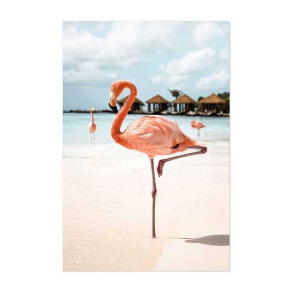 Pink Flamingo - Aruba Photography Flamingo Tropical Beach Wildlife Seaside Bird Summer Unframed Wall Art Print 4 x 6 inches