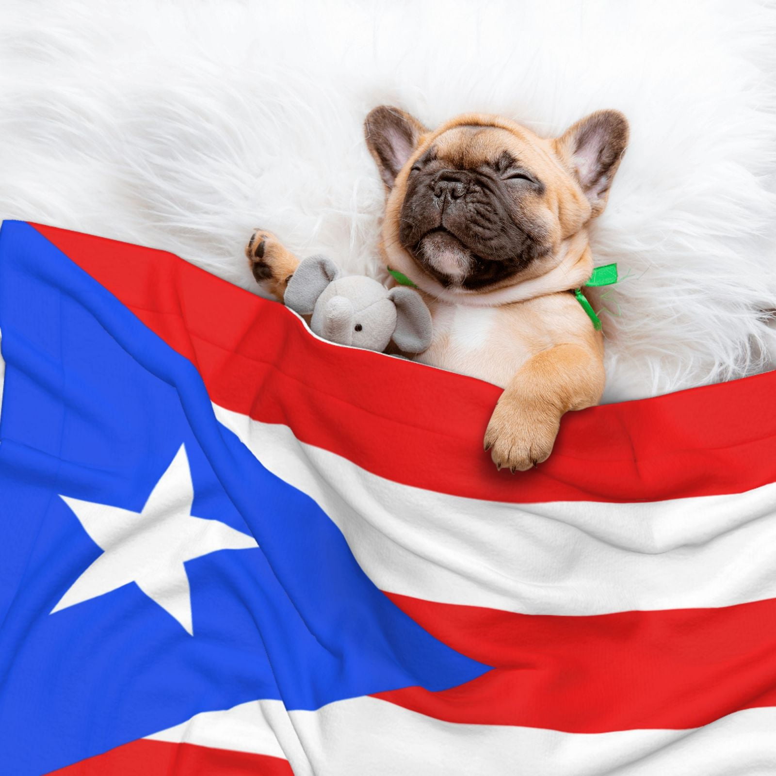 Flannel Throw Dog Blanket Puertorico-Flag Soft Warm Print Pet Blankets for Small Dog Cat Puppy