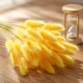 thumbnail image 2 of chaungfeng 17" Artificial Bunny Tails Dried Flowers, 20 Pcs Faux Dried Lagurus Ovatus, Dried Yellow Pampas Grass Decor for Farmhouse Flower Arrangements Wedding Home Boho Party Decorations, 2 of 8