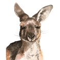 thumbnail image 3 of Parker, Jennifer Paxton 20x24 Black Modern Framed Museum Art Print Titled - Kangaroo Portrait I, 3 of 5