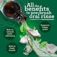 thumbnail image 4 of Enjuague bucal GuruNanda Starter Oil Pulling 237 ml sabor menta, 4 of 8