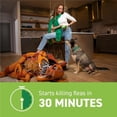 thumbnail image 4 of CAPSTAR Tratamiento oral de pulgas para perros, comprimidos de acción rápida comienzan a matar pulgas en 30 minutos, perros medianos y grandes (más de 25 libras), 6 dosis, 4 of 5