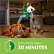 thumbnail image 4 of CAPSTAR Tratamiento oral de pulgas para perros, comprimidos de acción rápida comienzan a matar pulgas en 30 minutos, perros medianos y grandes (más de 25 libras), 6 dosis, 4 of 5
